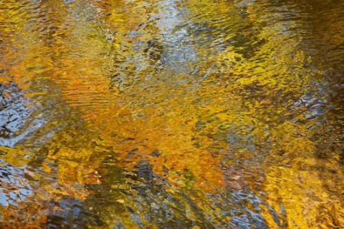 Great Smoky Mountains National Park;Tennessee;Reflection;Autumn;Reflections;Leaf;United States;Fall;leaves